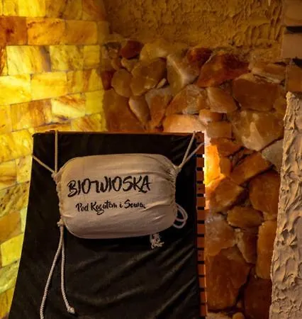 Pod Kogutem I Sowa - Bio Wioska Z Domkami Premium W Goralskim Stylu Vip Postołowo