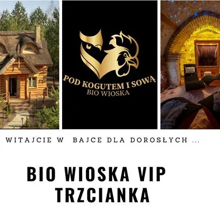 Landhuis Pod Kogutem I Sowa - Bio Wioska Z Domkami Premium W Goralskim Stylu Dla Doroslych
