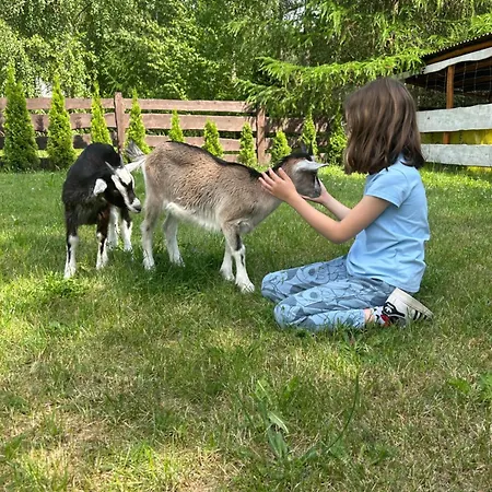 Pod Kogutem I Sowa - Bio Wioska Z Domkami Premium W Goralskim Stylu Dla Doroslych Postołowo