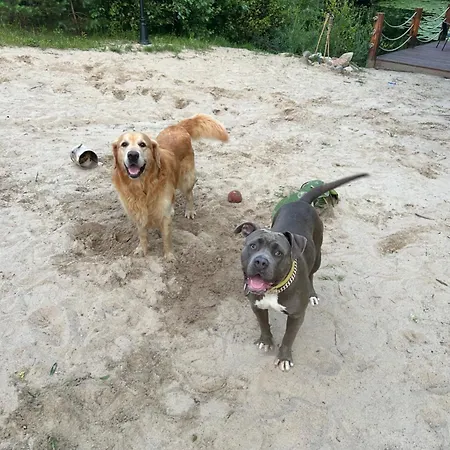 Landhaus Pod Kogutem I Sowa - Bio Wioska Z Domkami Premium W Goralskim Stylu Vip Postołowo