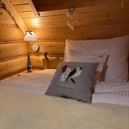Venkovský dům Pod Kogutem I Sowa - Bio Wioska Z Domkami Premium W Goralskim Stylu Vip
