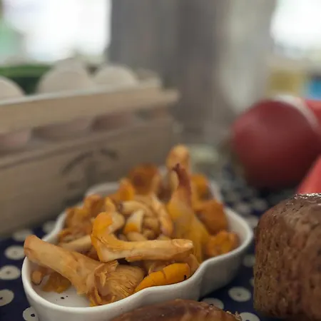 Pod Kogutem I Sowa - Bio Wioska Z Domkami Premium W Goralskim Stylu Vip