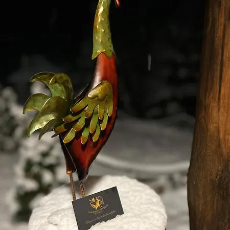 Pod Kogutem I Sowa - Bio Wioska Z Domkami Premium W Goralskim Stylu Vip Venkovský dům
