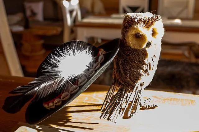 Lantställe Pod Kogutem I Sowa - Bio Wioska Z Domkami Premium W Goralskim Stylu Vip