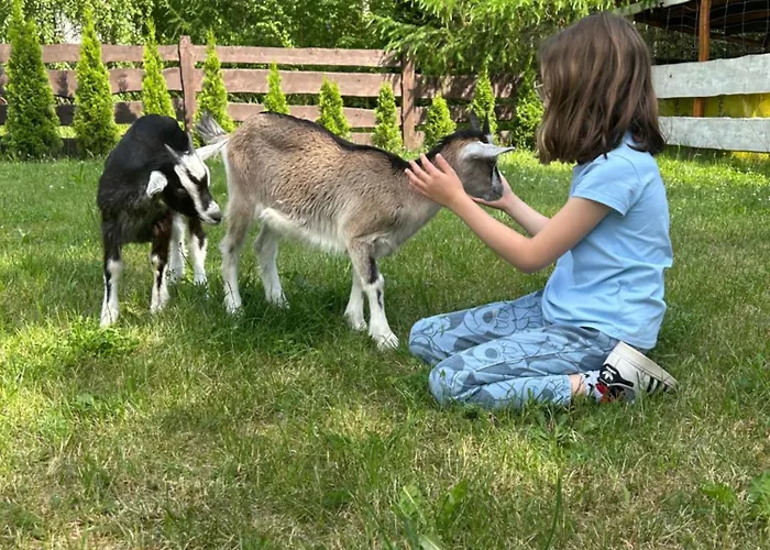 Pod Kogutem I Sowa - Bio Wioska Z Domkami Premium W Goralskim Stylu Vip Postołowo
