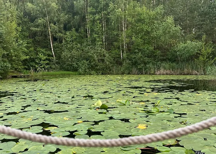Pod Kogutem I Sowa - Bio Wioska Z Domkami Premium W Goralskim Stylu Vip Lantställe Postołowo