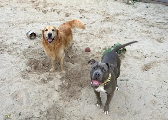 Lantställe Pod Kogutem I Sowa - Bio Wioska Z Domkami Premium W Goralskim Stylu Vip Postołowo