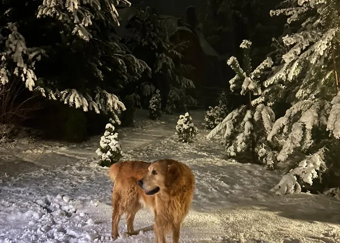 Pod Kogutem I Sowa - Bio Wioska Z Domkami Premium W Goralskim Stylu Vip *